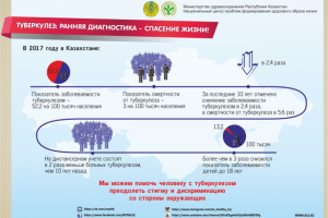 инфографика