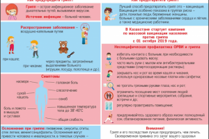 инфографика