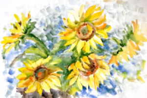 подсолнухи