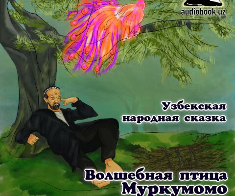 img3526566.png