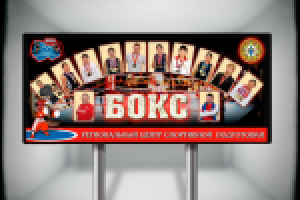 Школа Высшего Спортивного Мастерства