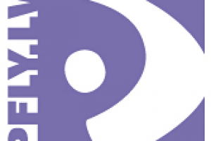 Эскиз знака для общества парапланеристов