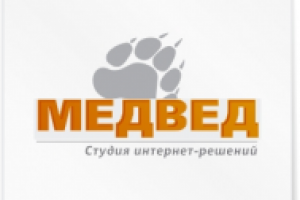 Вариант лого МЕДВЕД