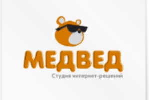 Вариант лого МЕДВЕД