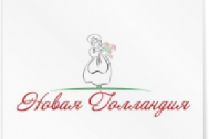 Новая Голландия