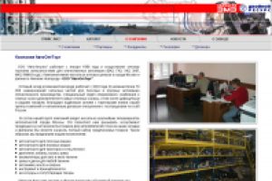 Аудит сайта zmzopt.ru