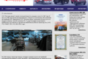 Поисковый аудит сайта Litvina.com