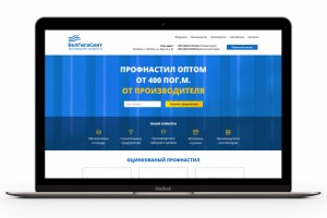 Адаптивный лендинг с настройкой рекламы "Белгигасинт"