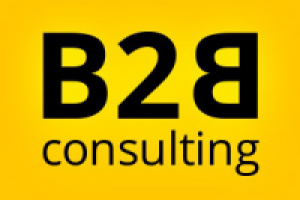 B2B Consulting