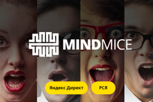 Настройка рекламы для агентства «MindMice»