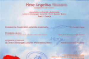 Скан диплома за проделанную работу