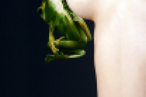 The Princess and the Frog