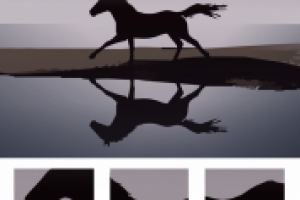 застывший бег (отражение)