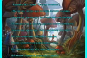 отрывок из сборника детских стихов