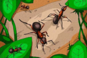 для энциклопедии Почему?