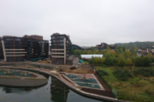 новогорск парк