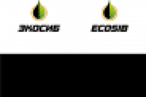 Экосиб v. 2.0, 3.0