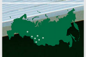 Сайт животноводческого предприятия