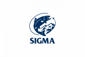 Sigma
