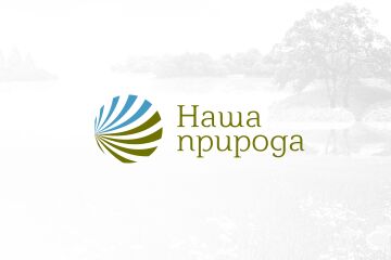 img4140505.png