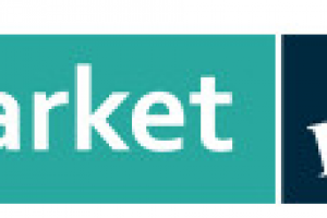 Брызговики