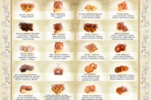 Работа 2591306