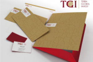 логотип и фирменный стиль