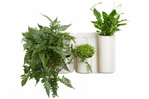 Предметная фотосъемка