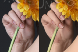 ретушь2. фрагмент