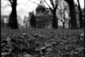 Из серии СПб в квадрате