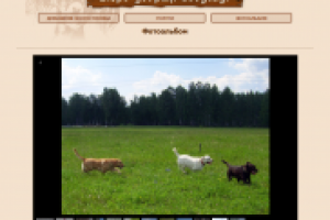 Бюро добрых Зоослуг