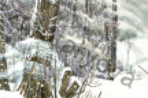 иллюстрация на открытку "зимний лес"