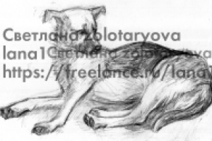 рисунок карандашом собака