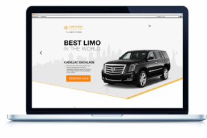 Сайт по заказу лимузинов в Америке