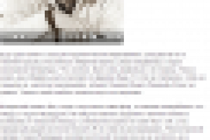 Библиотекари жгут!