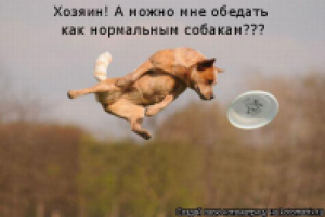 Тыринг... зыринг... драпинг!!!