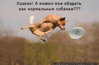 img1215939.png