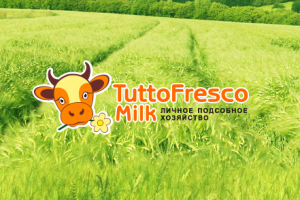 Логотип для интернет магазина