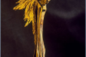 Премия Ника