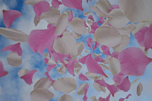 анимация с DOF