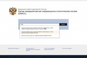 Интерфейс системы (ЕМИСС)