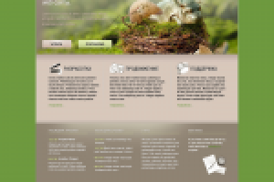 Сайт-портфолио (веб-студия)