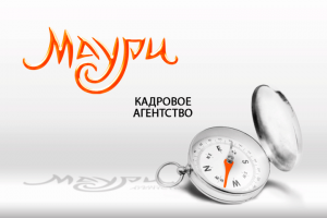 концепт для кадрового агенства