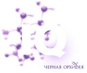 img633163.png