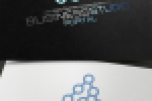 Работа 1190113