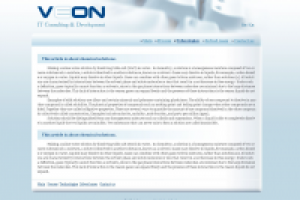 VeOn Solutions, IT Consulting & Development