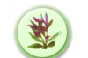 Работа 4093522