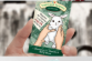 Мои иллюстрации и дизайн открыток