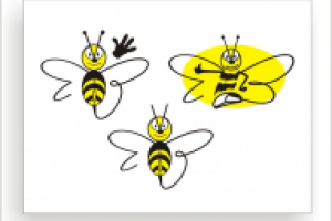 компьютерная фирма