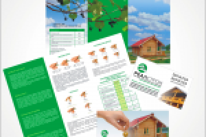 буклет, флаер, визитка "бани"